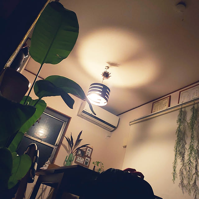 mikoさんの実例写真
