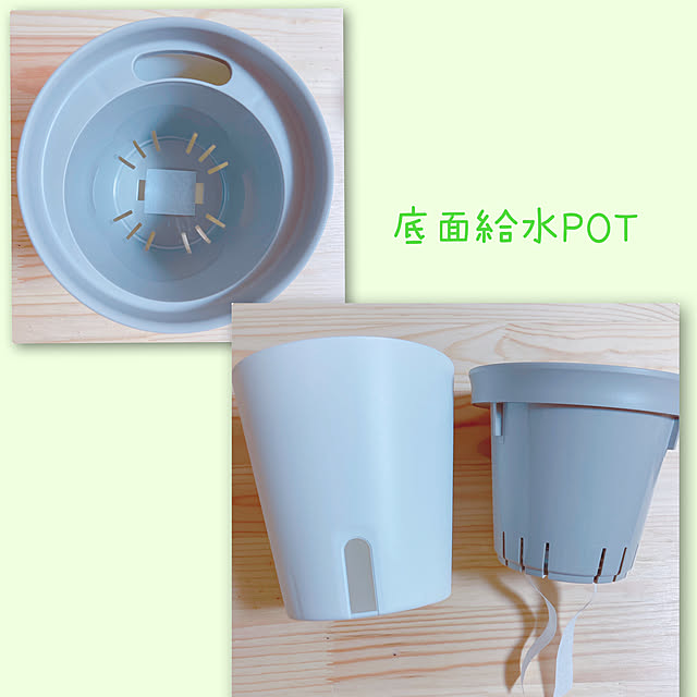 yuyuさんの部屋