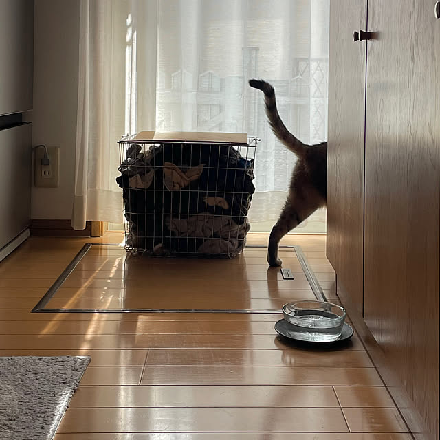 nobikoさんの部屋