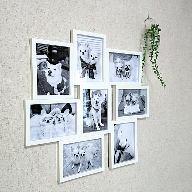 macoさんの実例写真