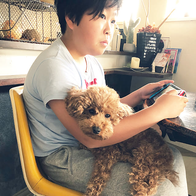kaorinさんの実例写真