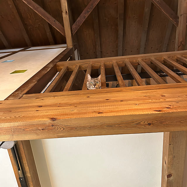 PU930さんの部屋