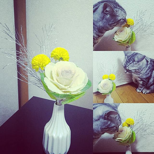 HRMK1603さんの実例写真