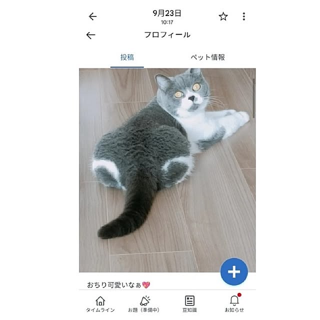 KEIKOさんの実例写真
