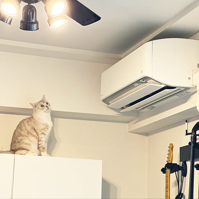 SAMEさんの実例写真