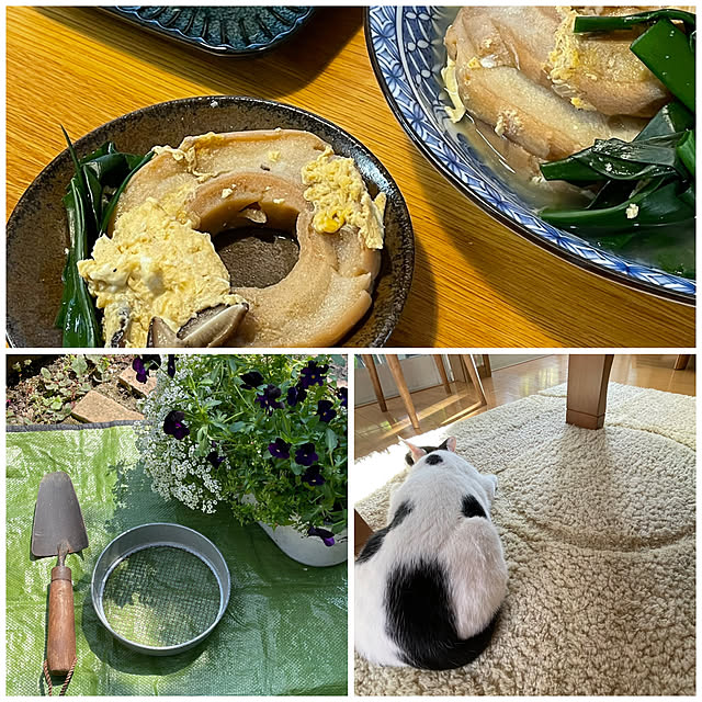 nobikoさんの実例写真