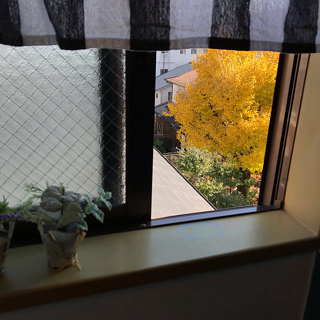 Lynnさんの実例写真