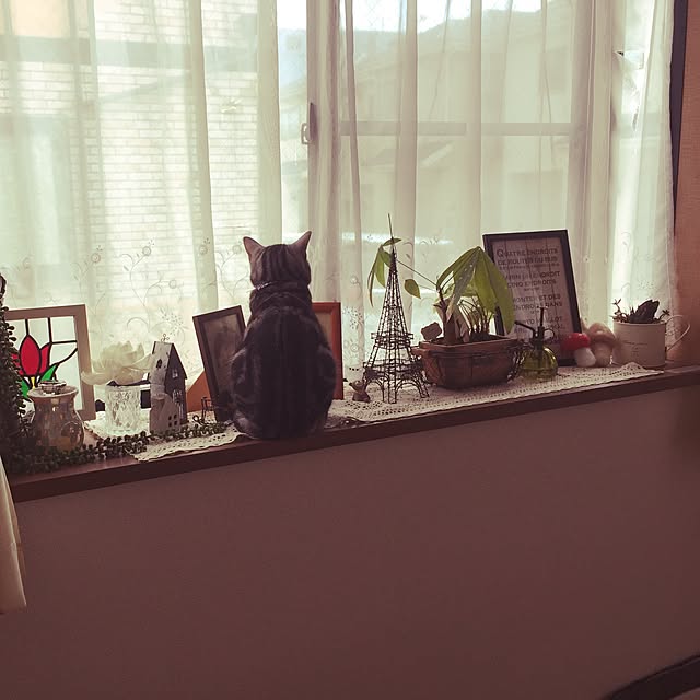 michhi_mouse_0507さんの実例写真