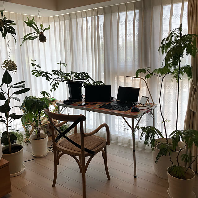 ms710さんの実例写真