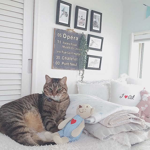 lovecatさんの実例写真