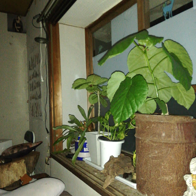 SYOUGUNさんの実例写真