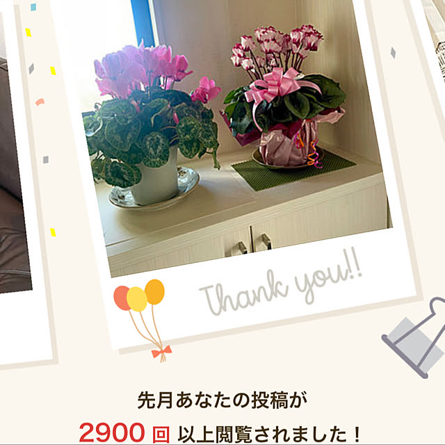 Shinさんの実例写真