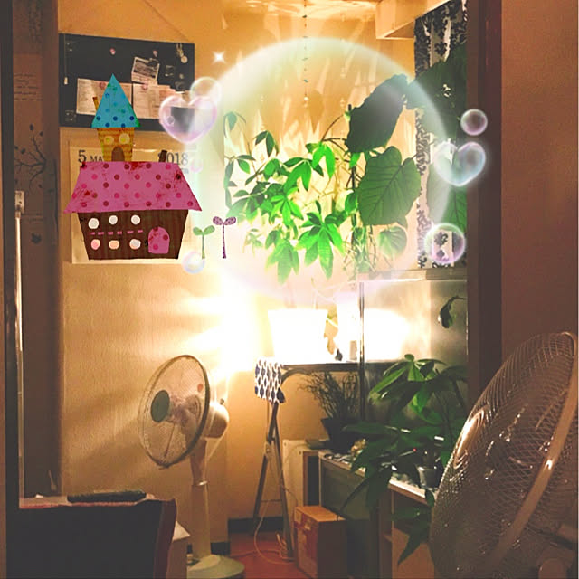 実例写真