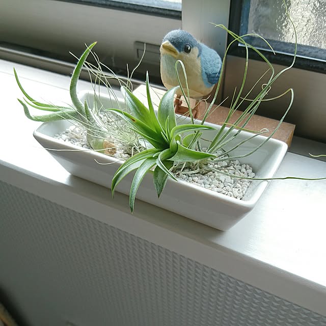 sokoさんの実例写真