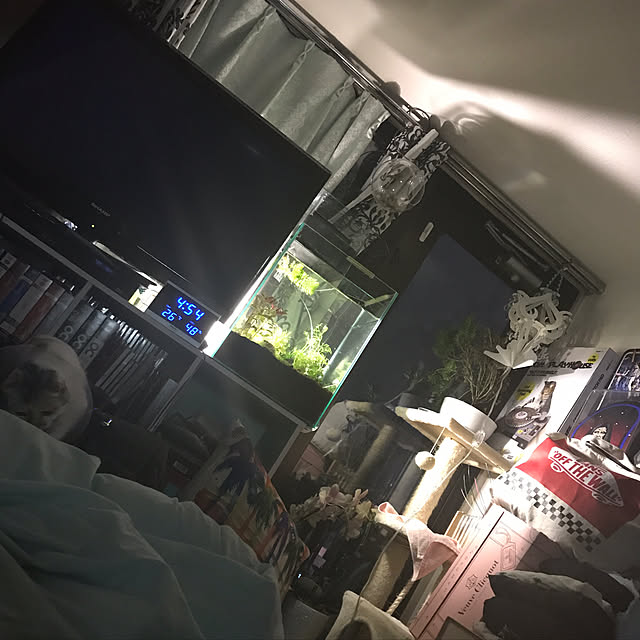 uraraさんの実例写真