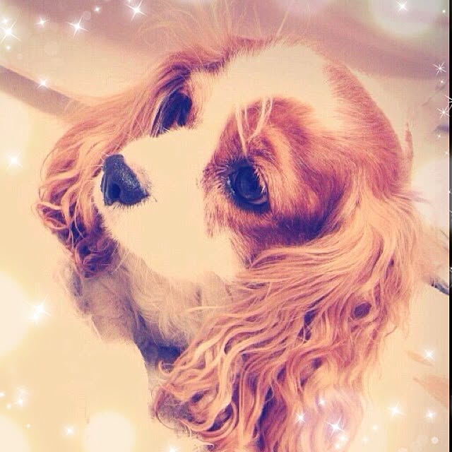 canmilmamaさんの実例写真