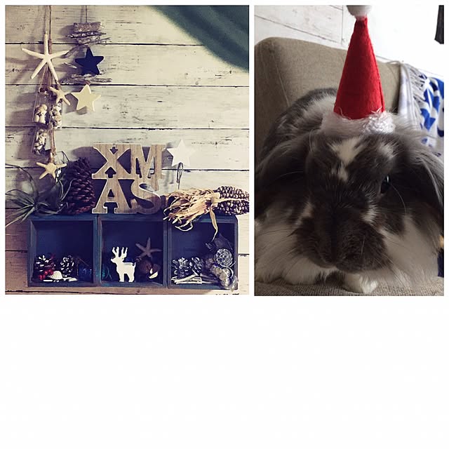 kaorinさんの実例写真