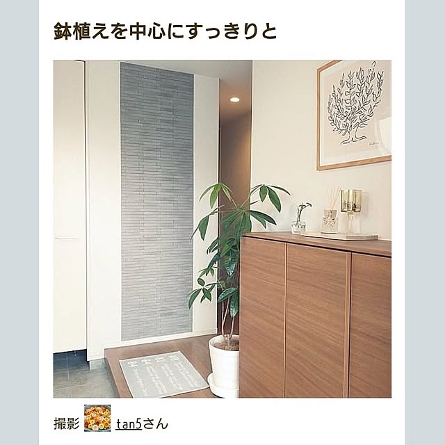 tan5さんの実例写真