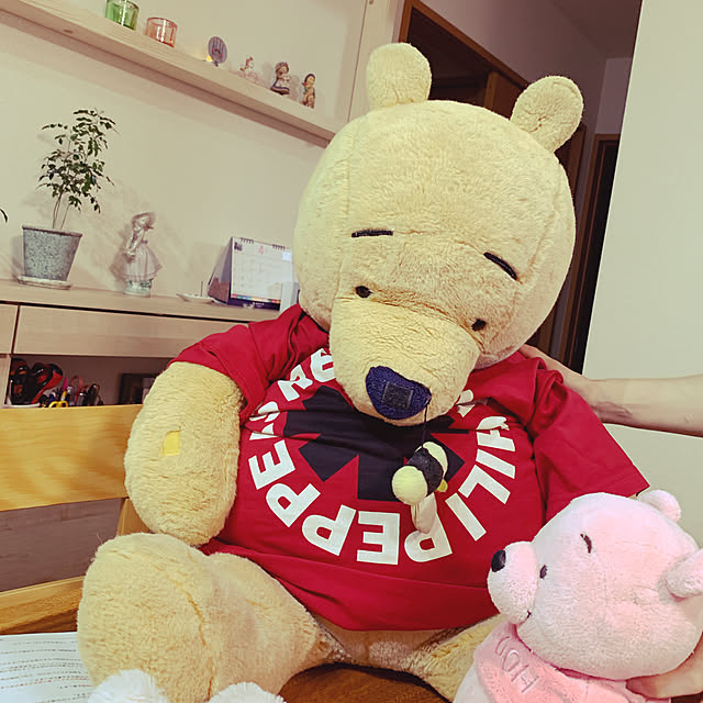 popoponopoさんの実例写真