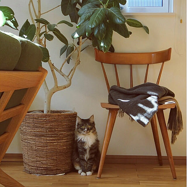 Hisashiさんの実例写真