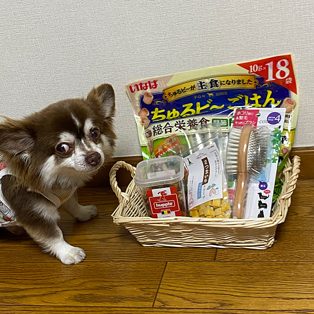 chIoeさんの部屋