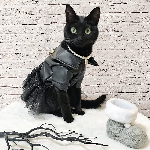 sakuraさんの実例写真