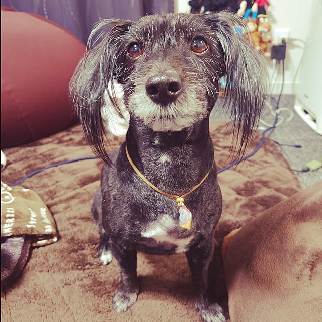 akinsさんの実例写真