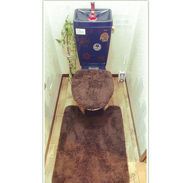 misakiさんの実例写真