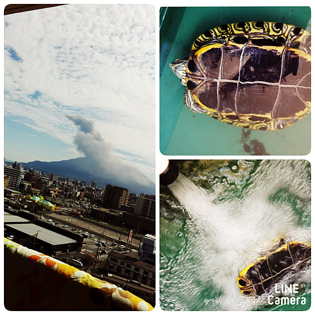 nana.maroさんの実例写真