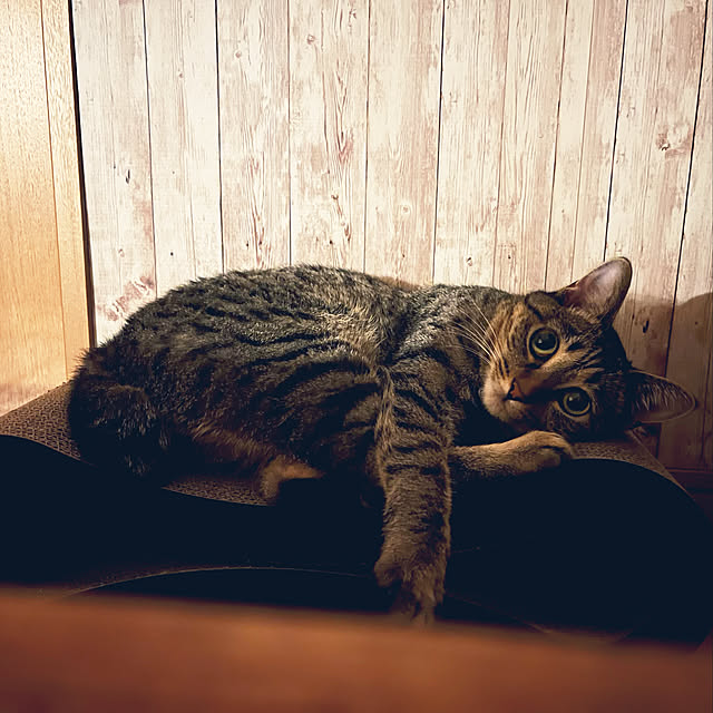 Mさんの実例写真