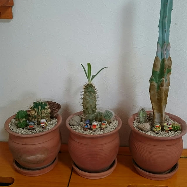 pineさんの実例写真