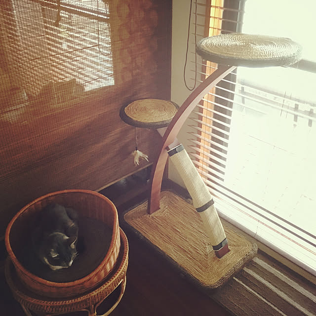 amaneさんの実例写真