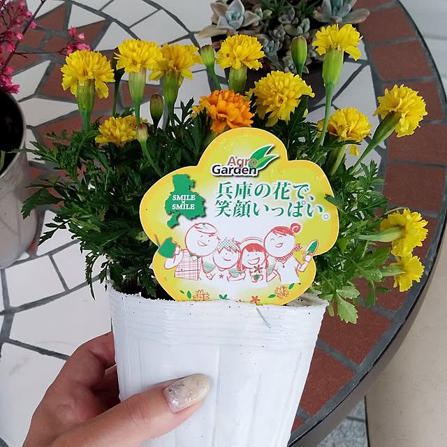 moco-hanamaruさんの実例写真