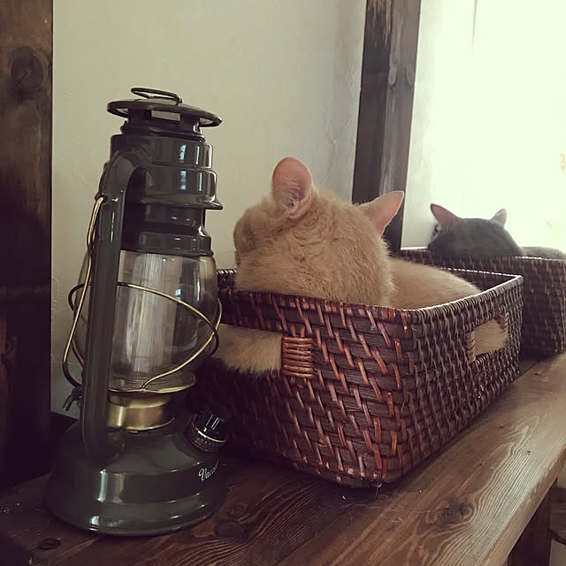 mikan161さんの実例写真