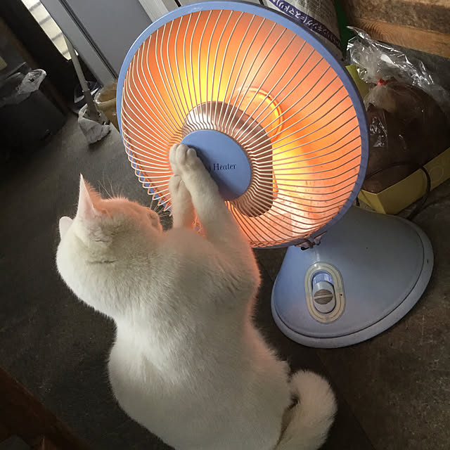 marinさんの部屋