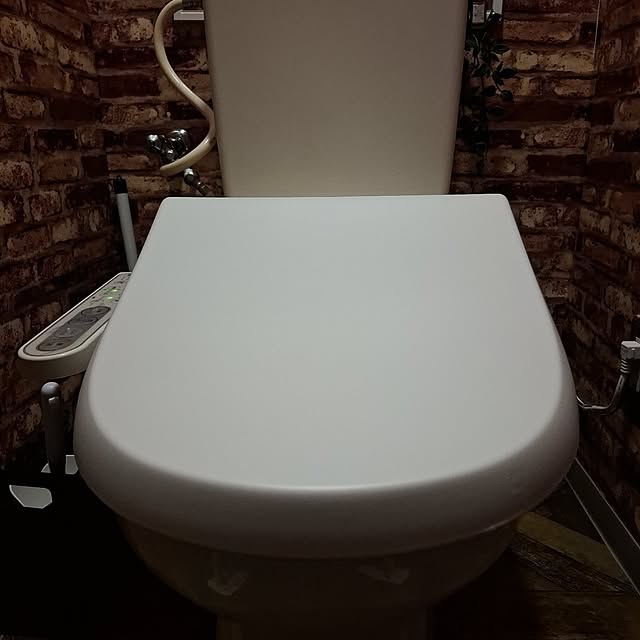 noaさんの実例写真