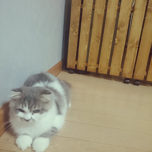 montboo5さんの実例写真