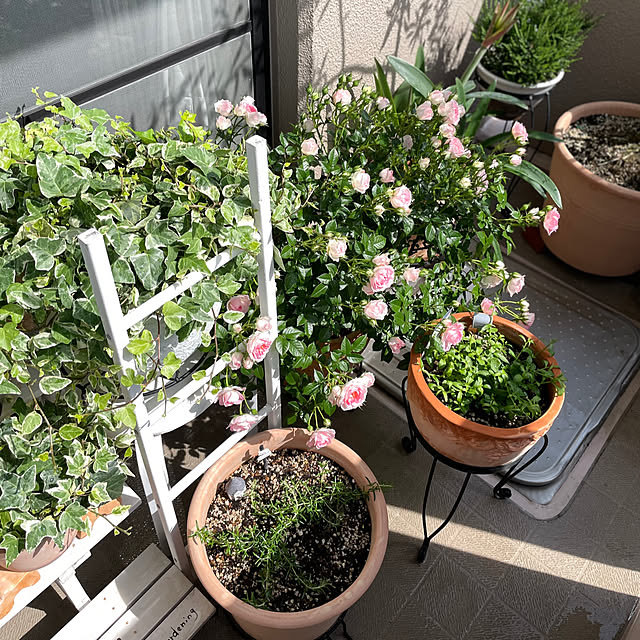 yasuyo66さんの実例写真