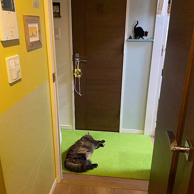 mikomaruさんの実例写真