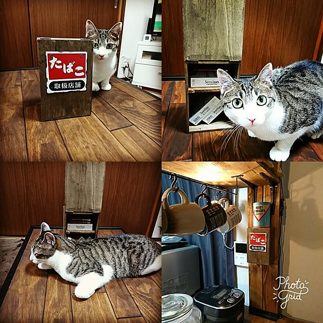 kiraさんの実例写真