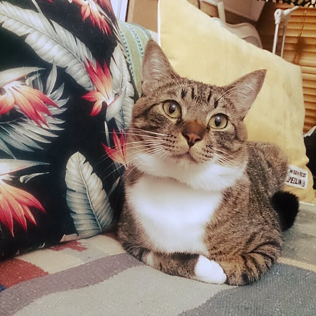 Lukiさんの実例写真
