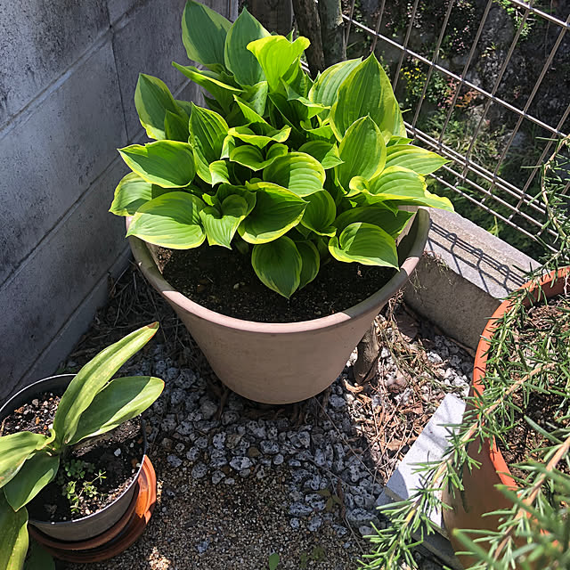 YUNYUMEさんの部屋