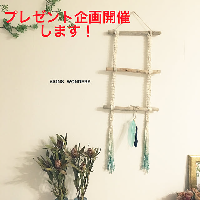 nya-さんの実例写真