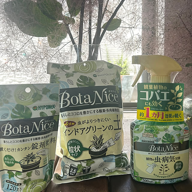 hatsugaさんの部屋