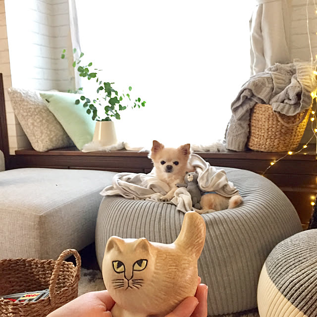 ponさんの実例写真