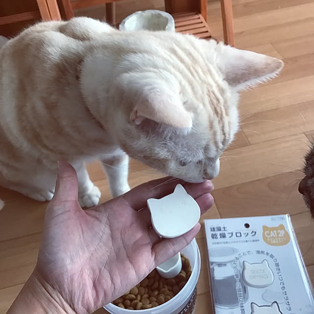 hiyupan88さんの実例写真