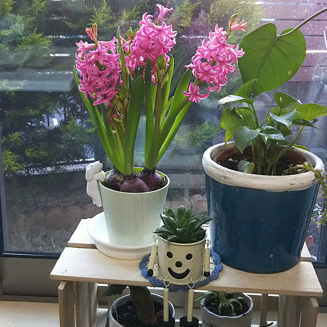 aikkoさんの実例写真