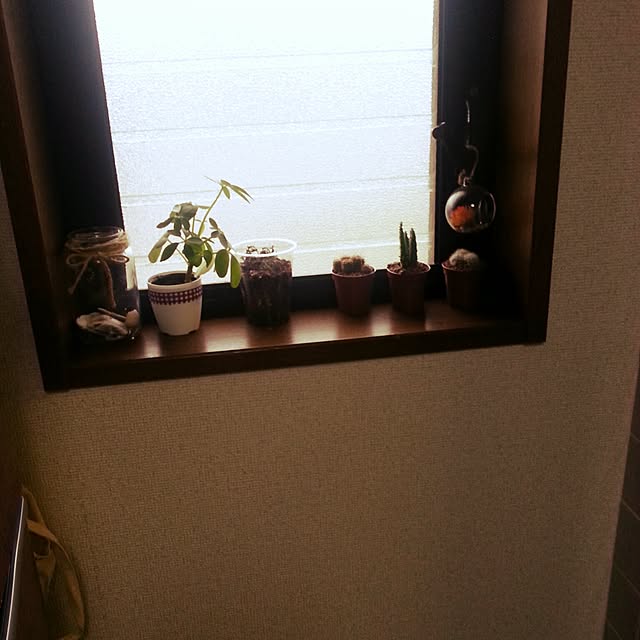 Akiさんの実例写真