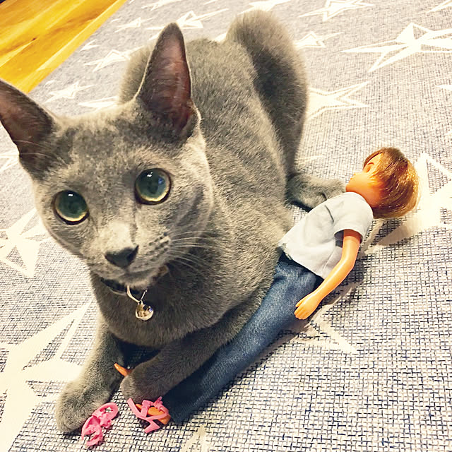 kaoriさんの実例写真