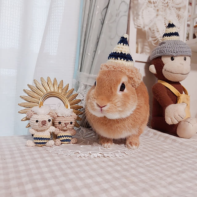 aikkoさんの実例写真